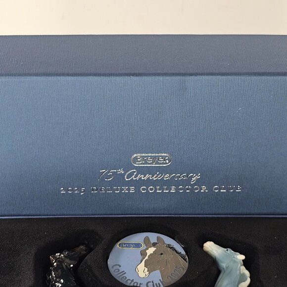 Breyer 2025 Deluxe Collector's Club Darius Stablemate Wedgewood Blue Set - Picture 3 of 11